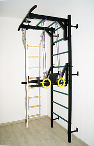 Детский спортивный комплекс  Trainer  Home  R-2 с брусьями (антик-зеленый)