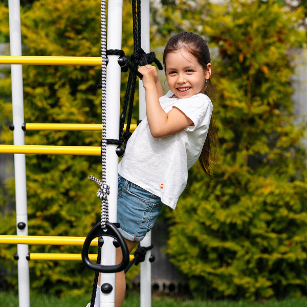 Детский спортивный комплекс для дачи ROMANA Богатырь MAX Плюс-2